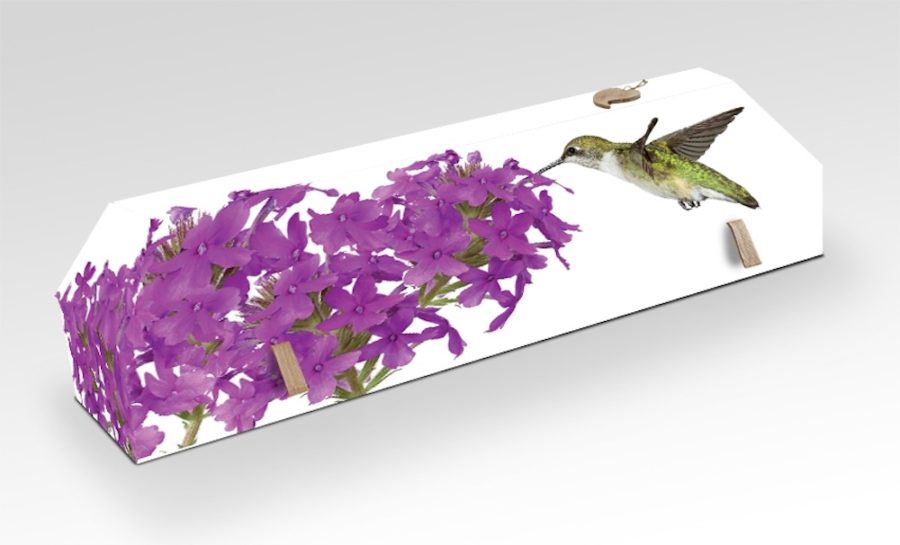 cercueil-en-carton-colibri