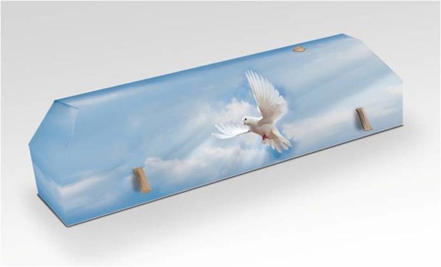 cercueil-en-carton-colombe