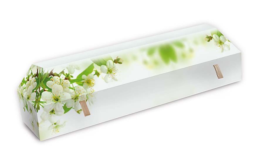 cercueil-en-carton-fleurs-de-cerisier