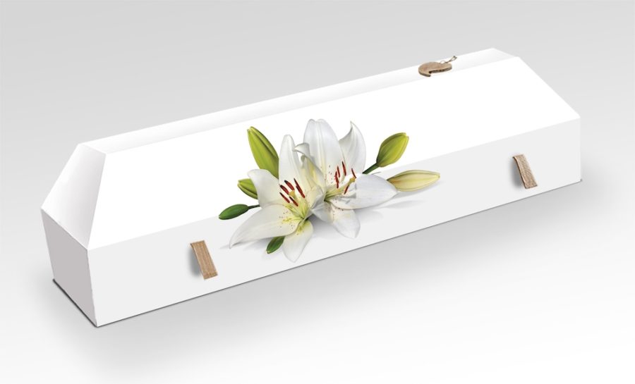 cercueil-en-carton-fleurs-de-lys-blanc