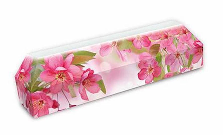 cercueil-en-carton-fleurs-de-printemps