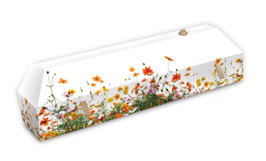 cercueil-en-carton-fleurs-des-champs