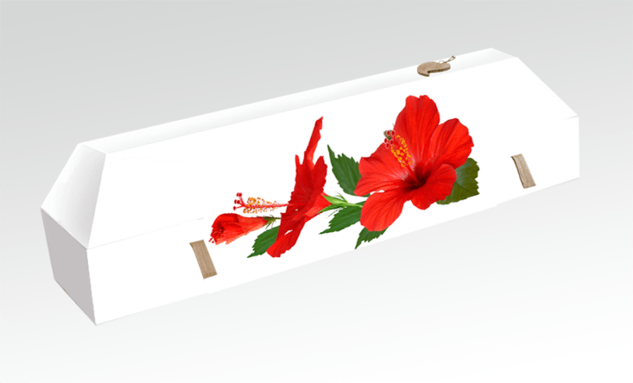 cercueil-en-carton-fleurs-hibiscus