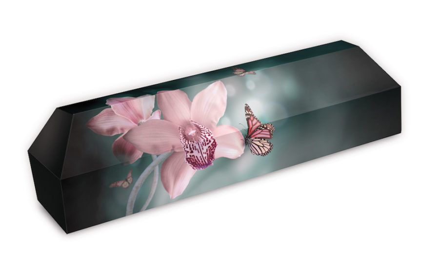 cercueil-en-carton-fleurs-orchdee-rose