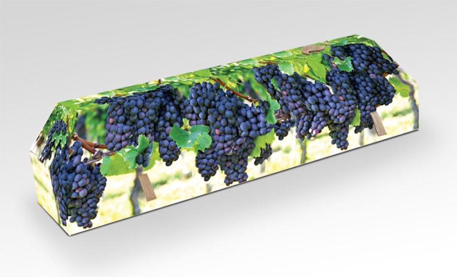 cercueil-en-carton-vigne-raisin